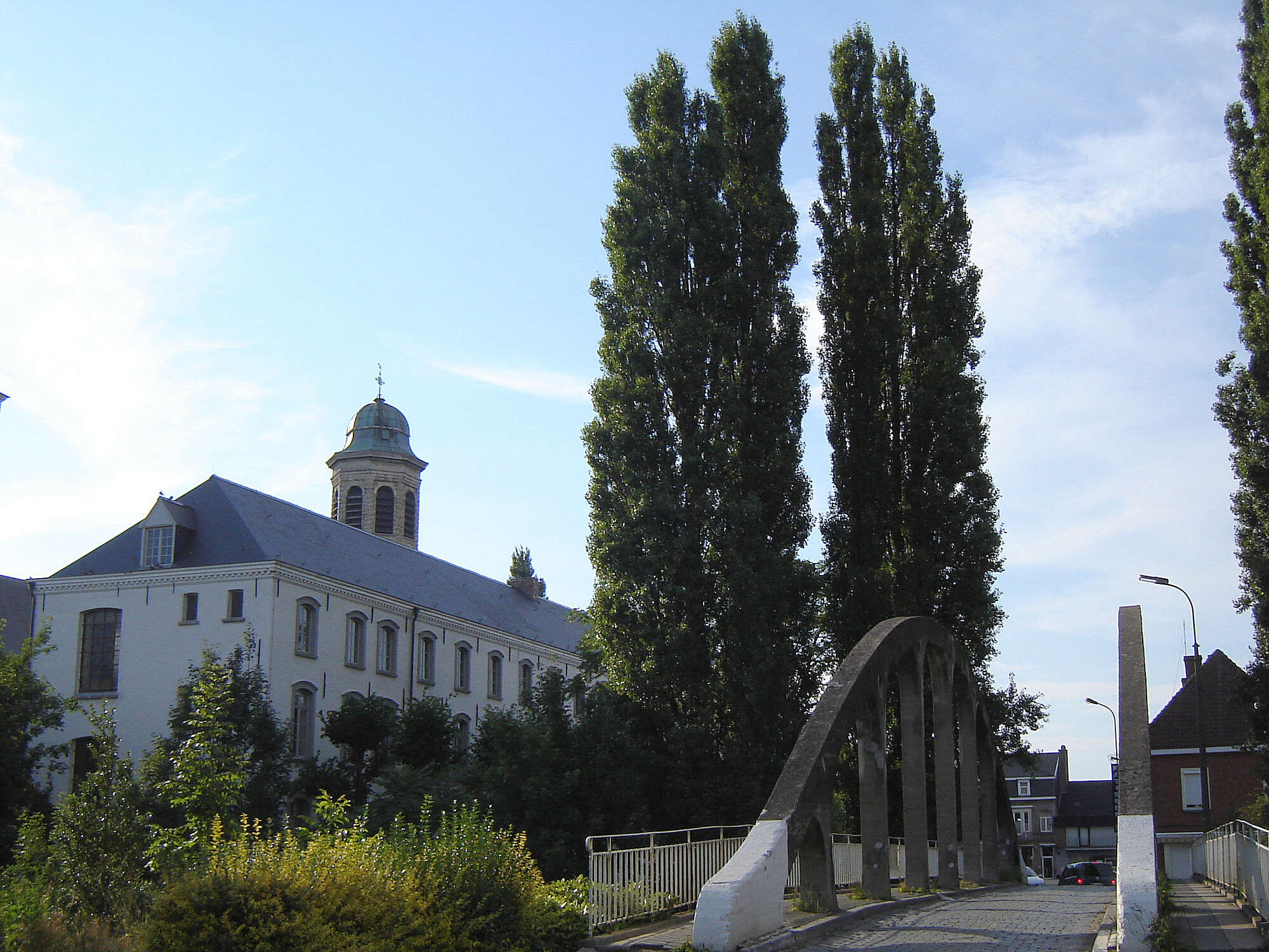 drongen