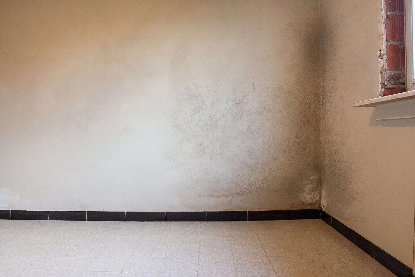 mur noirci