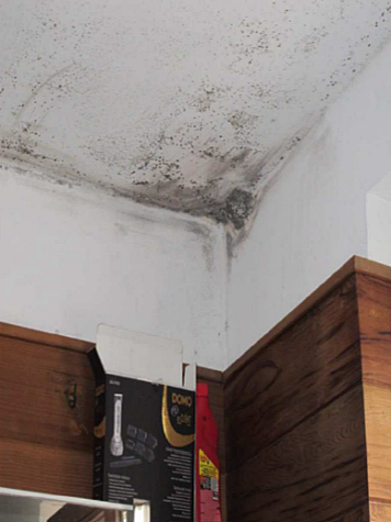 ventilatie b schimmel 